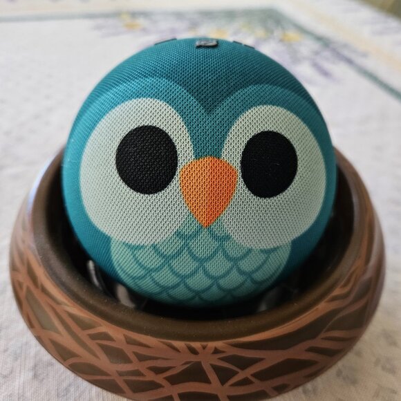 Amazon Echo Dot Kids (newest model), Designed for kids, with parental controls - Picture 1 of 2